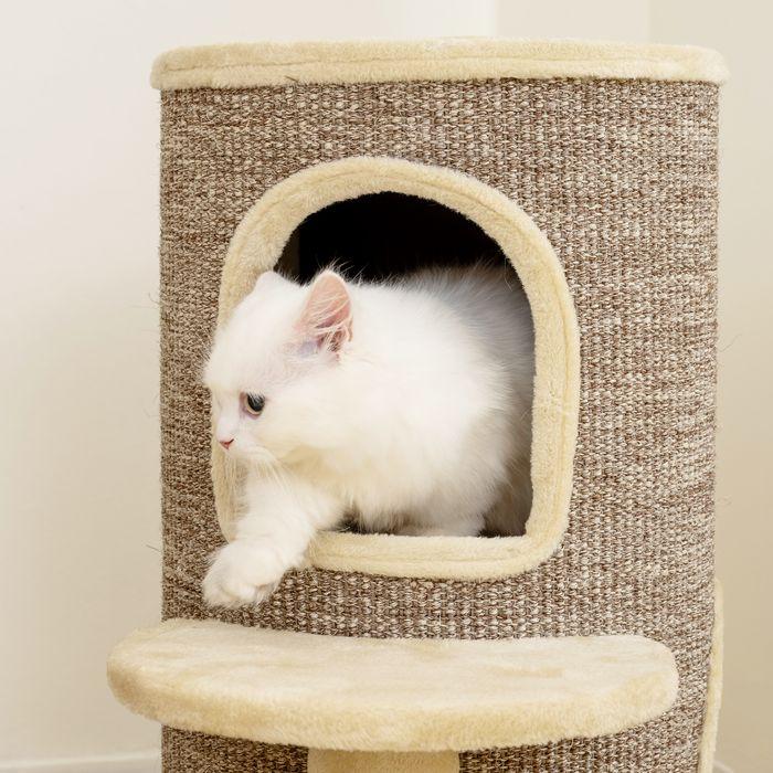 Produktbild Swisshandel24 Katzenfass, 2 Ebenen, Plattform, Aussichtspunkt, Kratzmatte, Beige (61 cm, Beige+Braun)