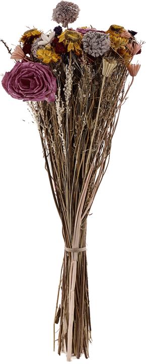 Immagine prodotto EGLO Caraquet (60 cm)