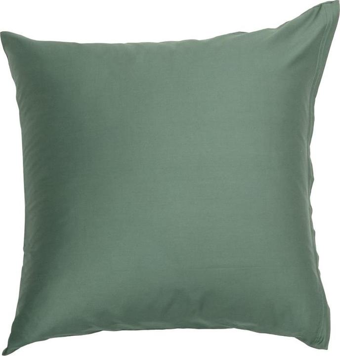 Actual product image Johann Jakob Sora (Pillowcase, 50 x 70 cm)