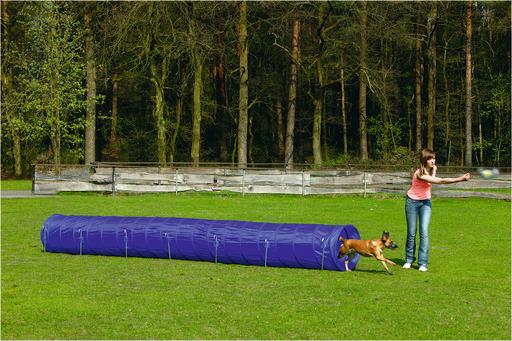 Beeztees TUNNEL BZ AGILITY GRANDE 525X60 (Destrezza)