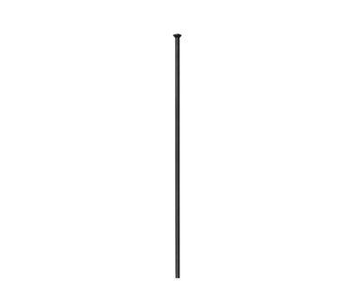 Immagine prodotto DT Swiss Competition 2.0 straightpull 1 pcs.
