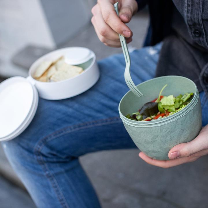 Actual product image Koziol Bento Club