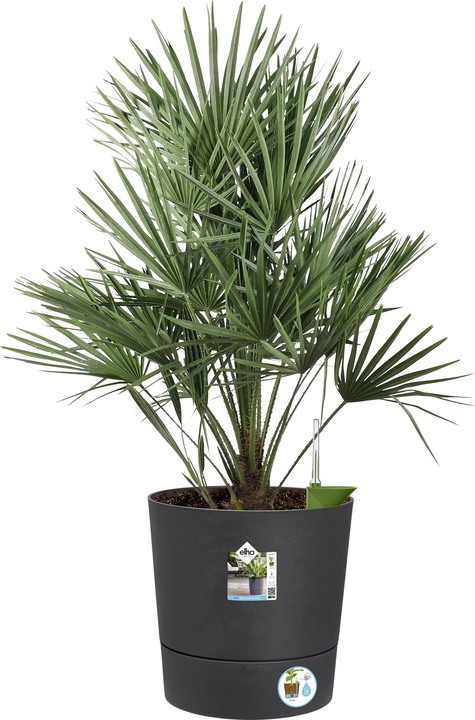 Actual product image Elho Blumenschale (43 cm)