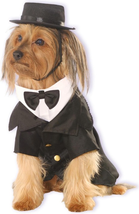 Produktbild Bristol Novelty Dapper Hundekostüm (XL, Hundekostüm)