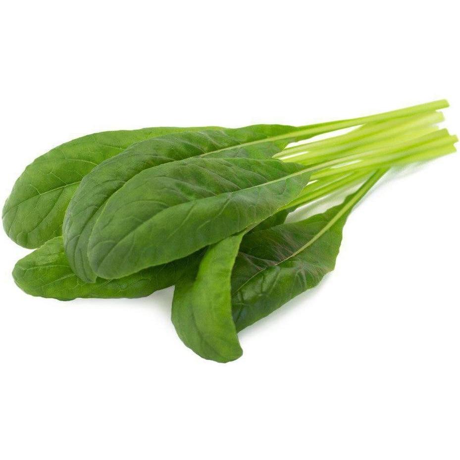 Click and Grow, Samen, Saatgut Mibuna (Gemüsesamen)