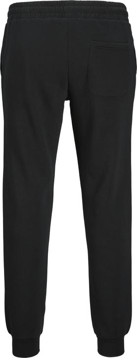 Image du produit Jack & Jones Hose mit Regular Fit Mini Hose mit Regular Fit (116)