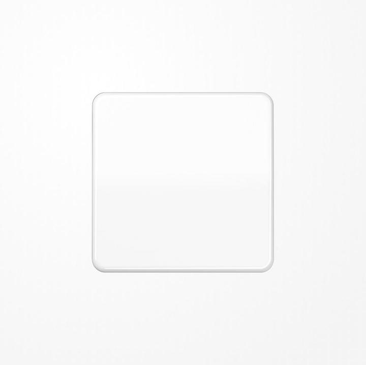 Produktbild JUNG Wippe Schalter CD aws glz CD590BFWW