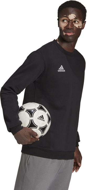 Actual product image adidas Entrada 22 sweatshirt men (XS)