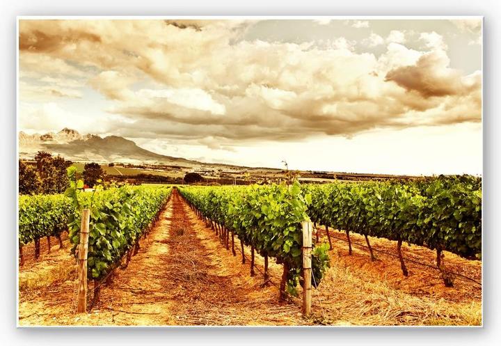 Actual product image Trenddeko Vines in the mountains (100 x 70 cm)