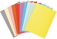 Image du produit Exacompta Fardes de classement - Couvertures de dossiers (A4, 100 x)