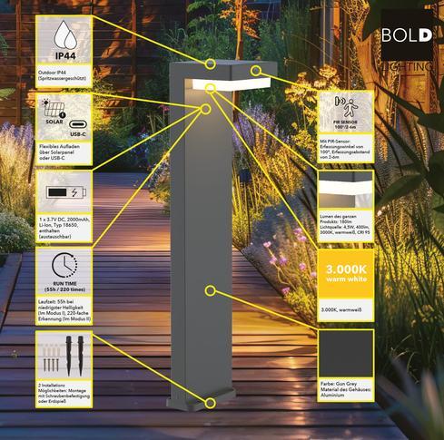 Actual product image Diebold 2er Set Solar-Leuchte mit PIR,Gun Grey (180 lm, IP44)