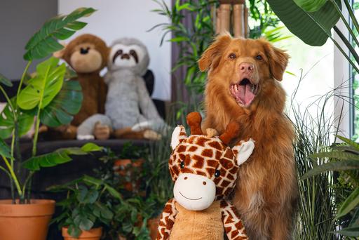 Image du produit Beeztees Hundespielzeug Giraffe XL (Jouet en peluche chien)