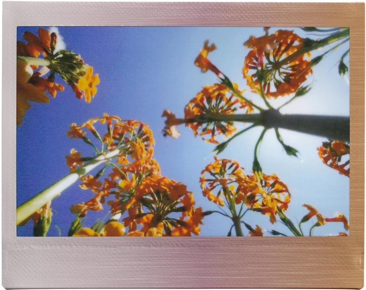 Produktbild Fujifilm Instax Wide Film Brushed Metallics