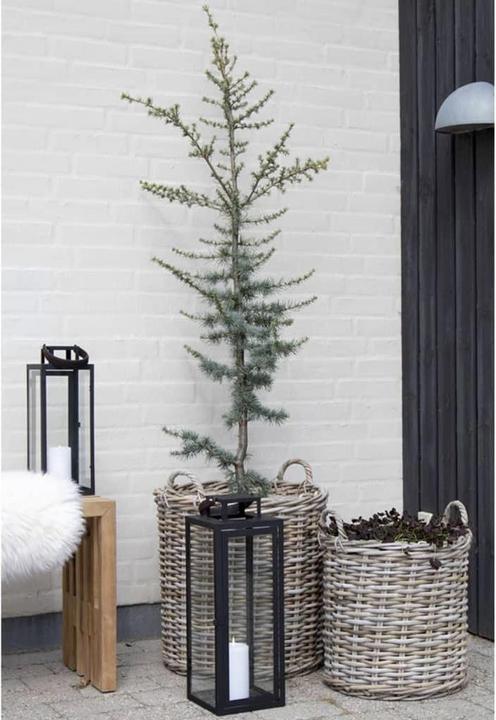 Immagine prodotto House Nordic Indo (50 cm, 2x)