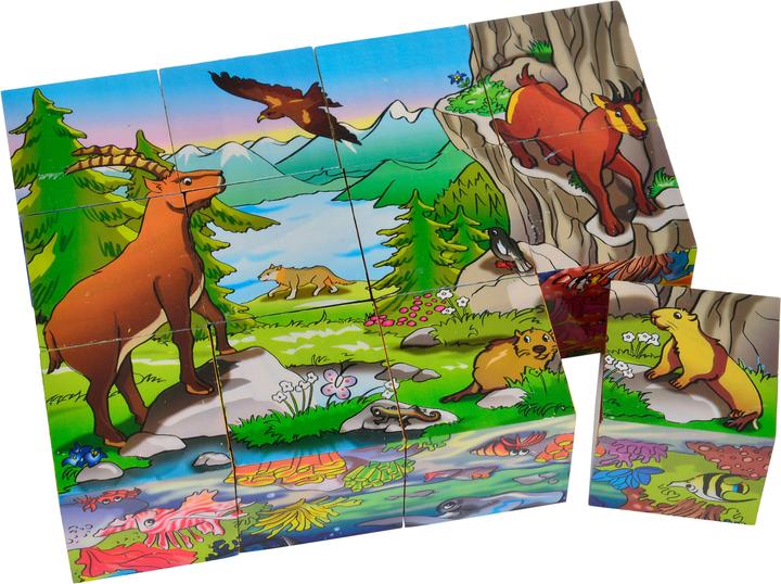 Image du produit Eichhorn Cube à images (12 pièces)