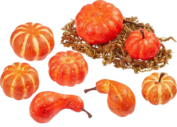 Image du produit Hobby Fun Citrouilles avec mousse, lot de 8