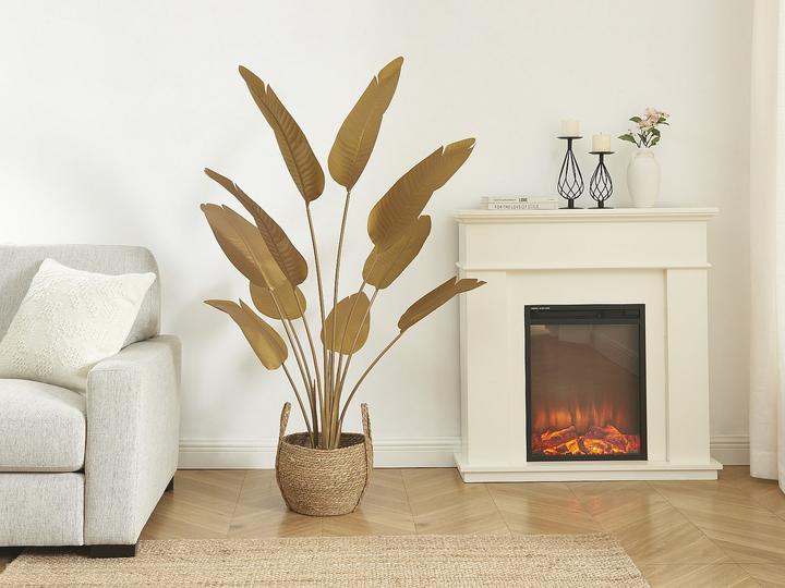 Immagine prodotto Ozaia Nendaz (160 cm)