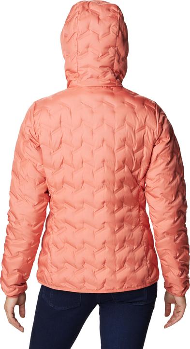 Image du produit Columbia Delta Ridge Veste à capuche Down (M)