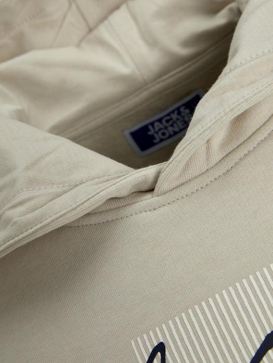 Produktbild Jack & Jones Jjzuri Sweat Hood Jnr (128)