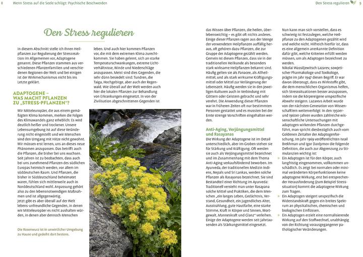 Produktbild Girsch:Mit Naturheilkunde Stress bewält (Deutsch, Michaela Girsch, 2024)