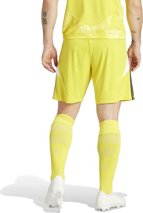 Actual product image adidas TIRO24 SHORT (M)
