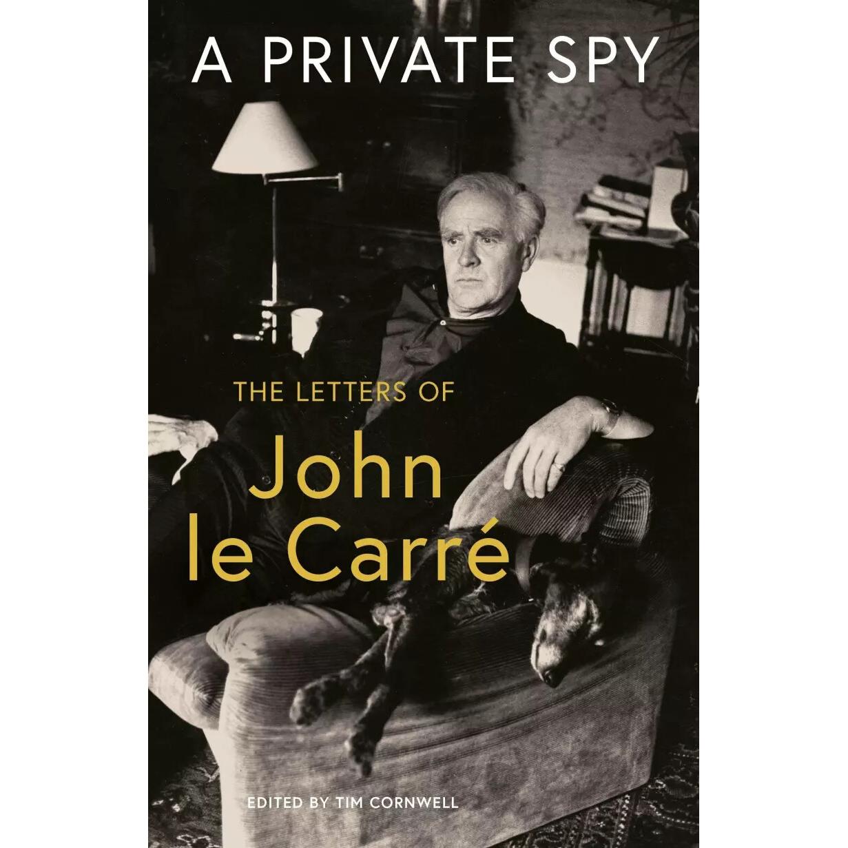 Thumbnail - A Private Spy, Belletristik von John le Carré