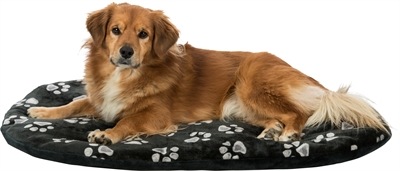 Produktbild Trixie Kissen Jimmy (Hund)