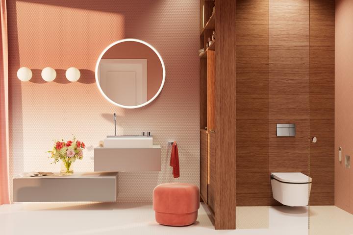 Immagine prodotto hansgrohe iFrame élément E Plaques de déclenchement pour chasse d'eau à 2 quantités, 66003000, 66003000