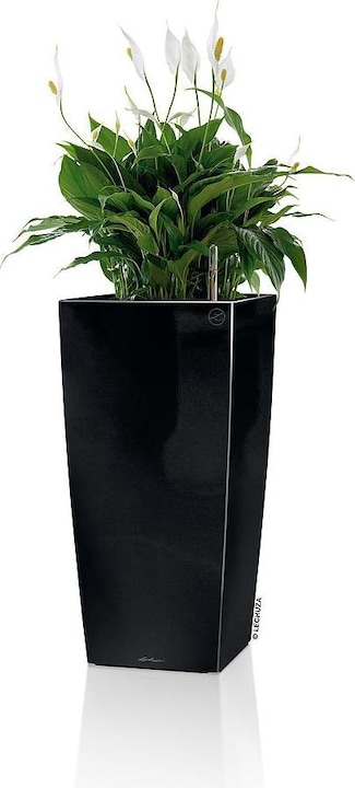 Produktbild Lechuza Cubico (22 cm)