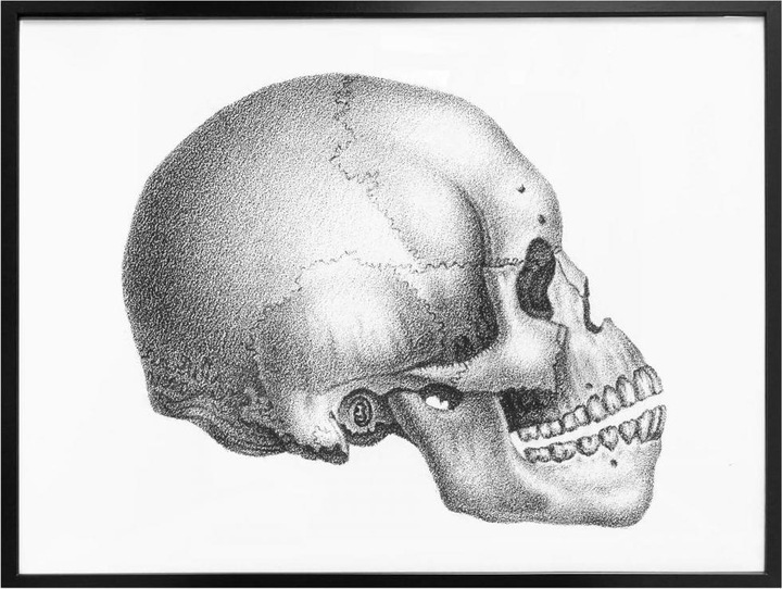 Actual product image Trenddeko Skull 02 (50 x 40 cm)