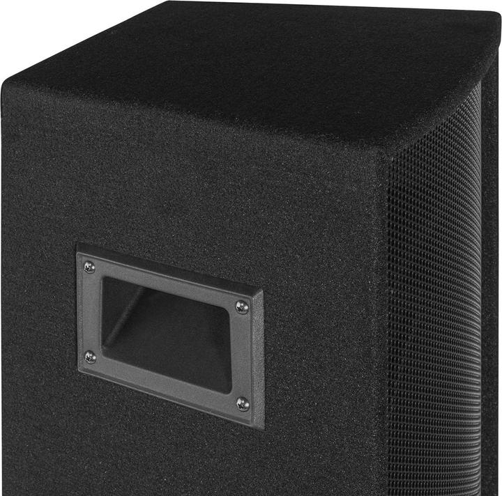 Actual product image Vonyx SL10 (Passive, 1x 250 W)