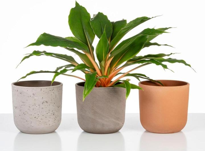 Produktbild Scheurich Blumentopf Travertino 981, 27.3 cm, Braun, Detailfarbe (27.30 cm)