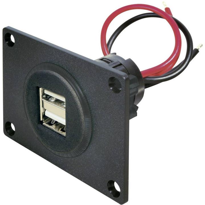 Actual product image ProCar USB built-in double socket