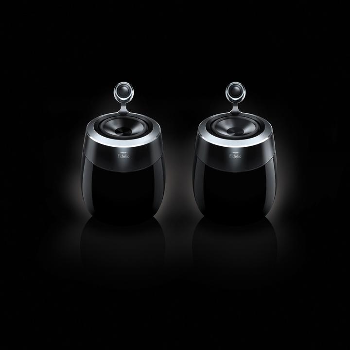 Actual product image Philips Fidelio DS9800W (Electrical connection)