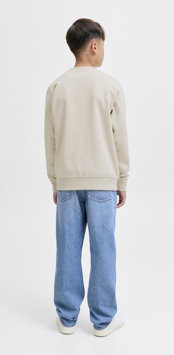 Produktbild Jack & Jones Gedruckt Sweatshirt Junior Sweatshirt (152)