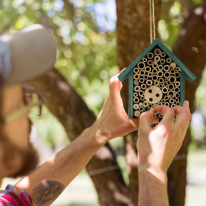 Image du produit Relaxdays Hôtel pour insectes (Abeilles sauvages)