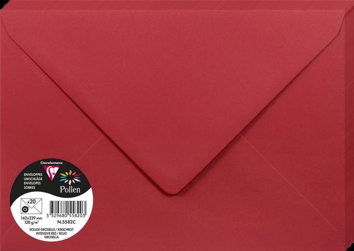 Image du produit Pollen Enveloppes (162 x 229 mm, 20 x)