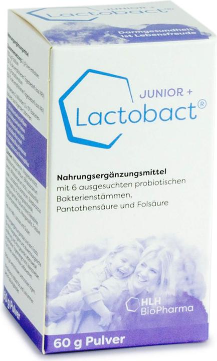 Lactobact JUNIOR + polvere (1 Pezzo/i, Polvere, 60 g)