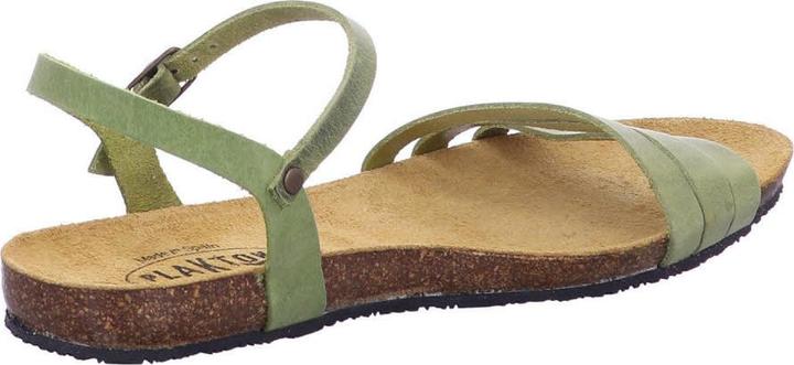 Produktbild Plakton 575080 PISTACIO (42)