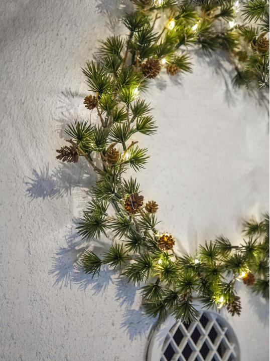 Produktbild Star Trading Larix