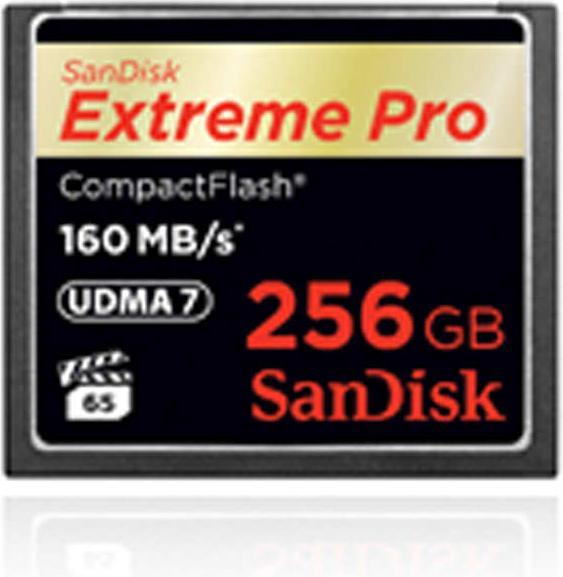 Actual product image SANDISK Extreme Pro Compact Flash (256 GB, CF)