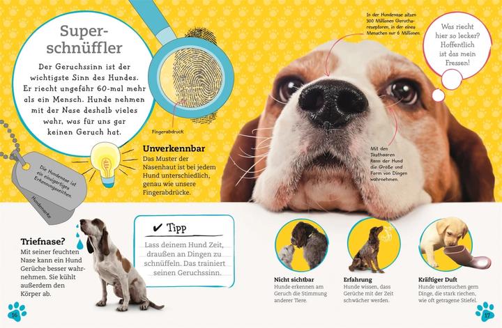 Produktbild Alles über deinen Hund (Deutsch, Andrea Mills, 2018)