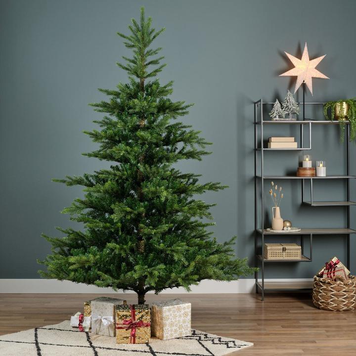 Produktbild Everlands Grandis Tanne 681452 210cm (210 cm)