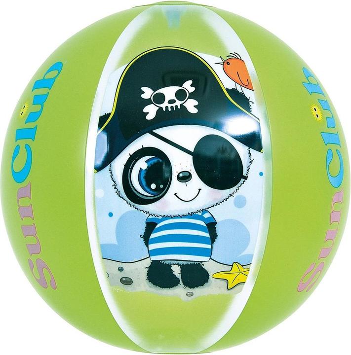 Actual product image Jilong Panda Ball