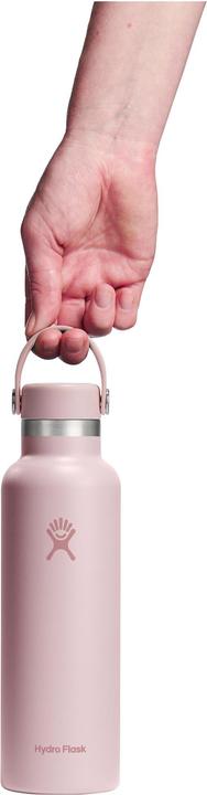 Productafbeelding Hydro Flask Standard Mouth with Standard Flex Cap (0.62 l)