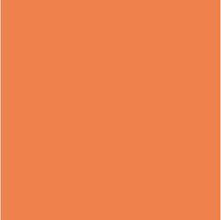 Produktbild Savage Hintergrund 1.35 x 11 m Orange (135 cm)