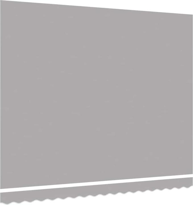 Image du produit vidaXL Auvent (4 m)