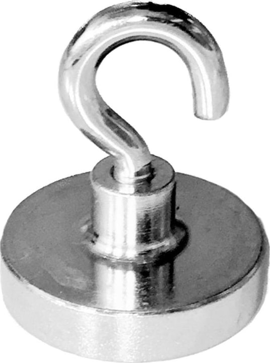 House of Magnets Deckenmagnet (1 x)