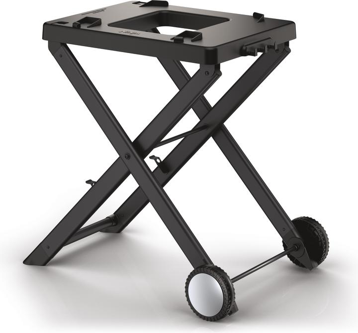Ninja Woodfire stand / barbecue stand