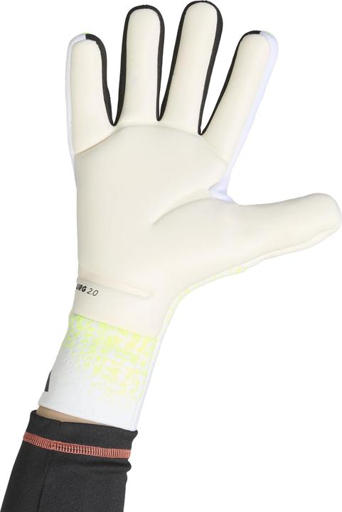 Produktbild Adidas Predator Pro (6)